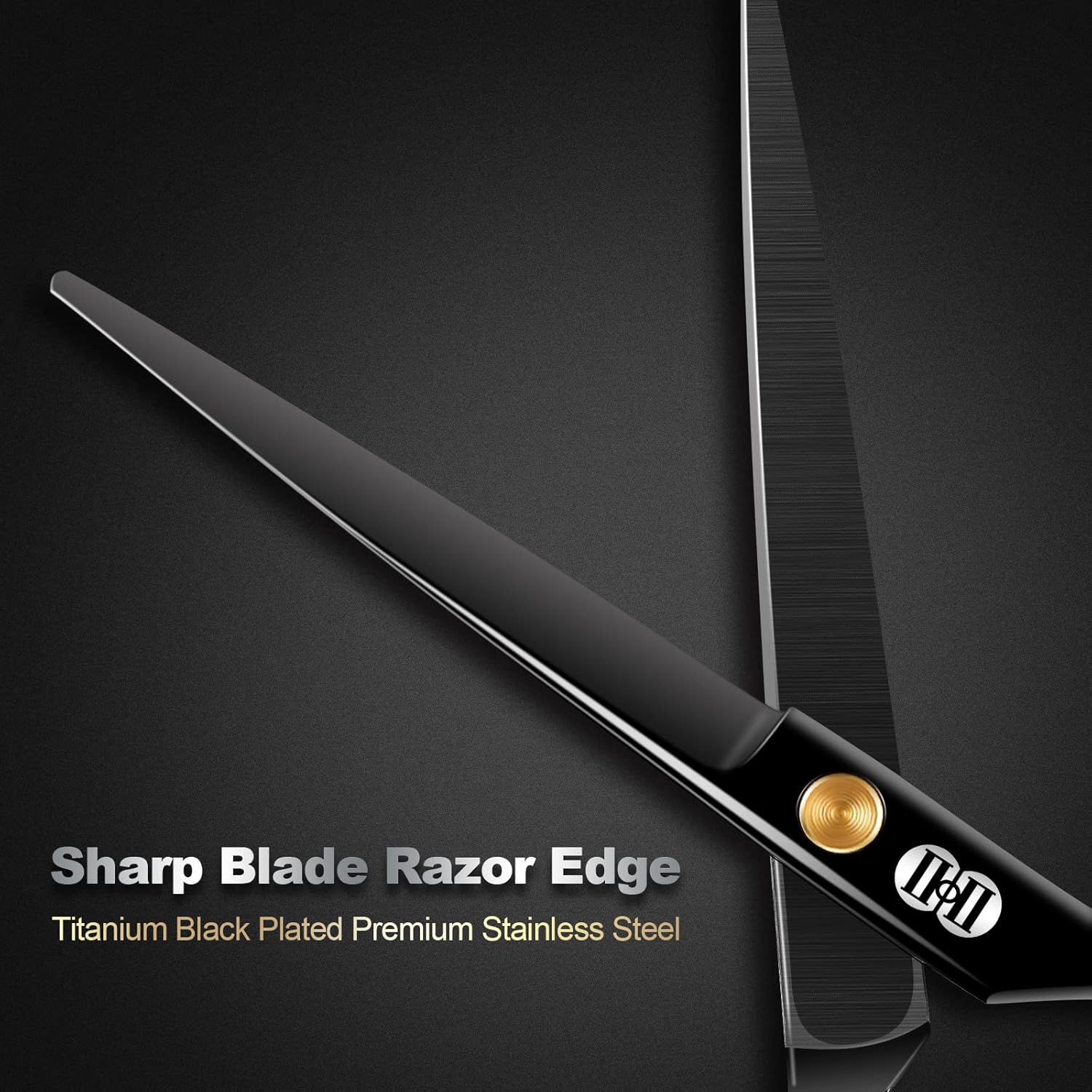 CIICII - Ciseaux coiffure 6,5