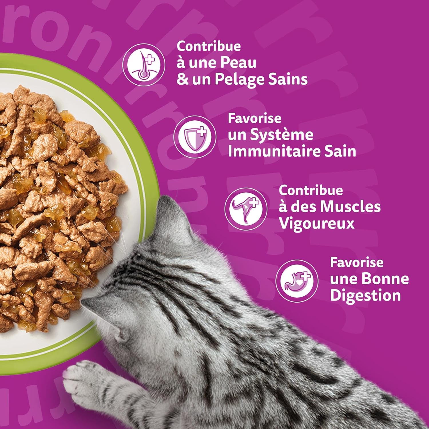 Whiskas - La Carte Mixte - 84x85g - Aliment humide en gelée pour chats adultes