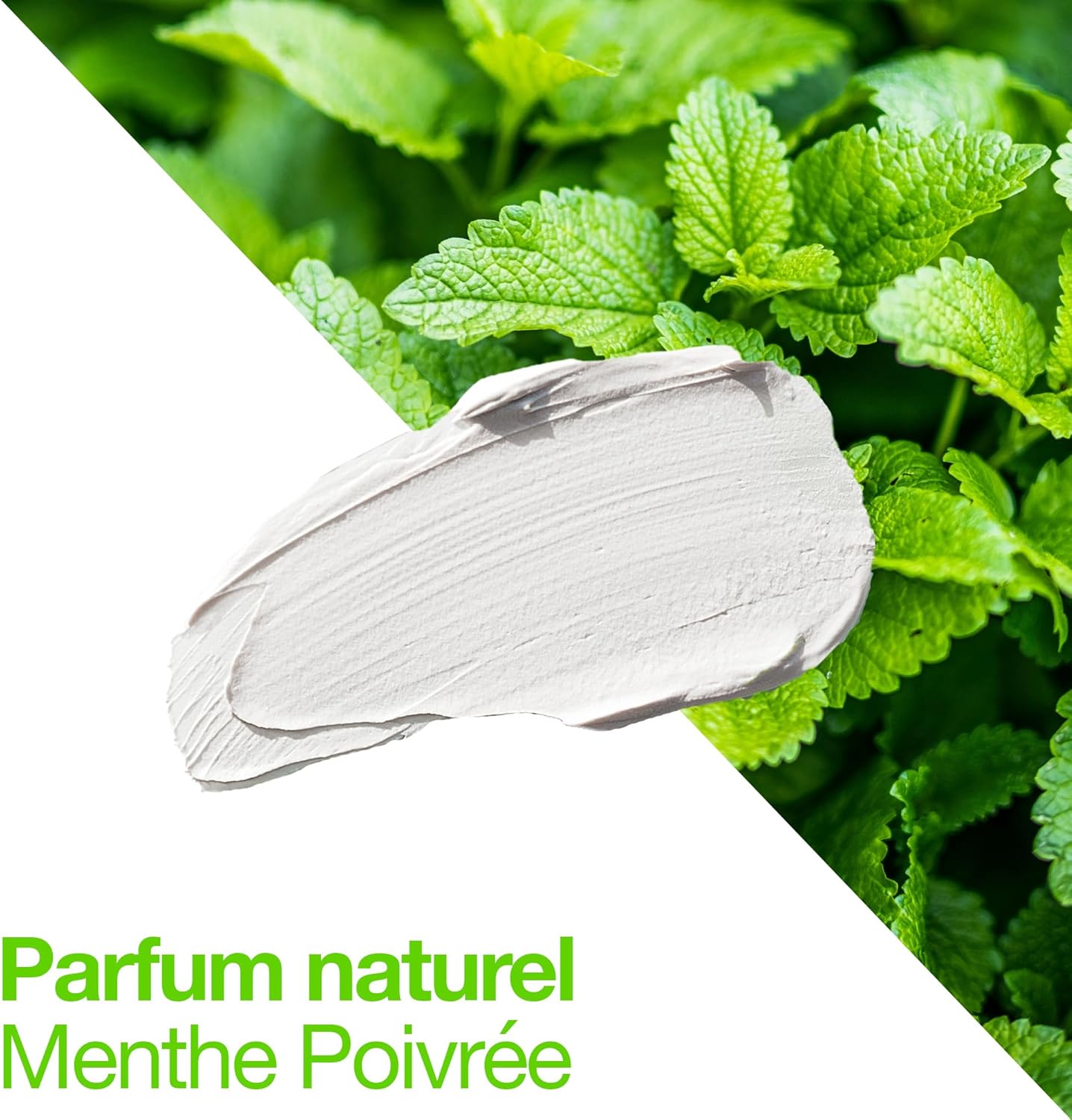 Sapiens - pommade coiffante Bio 80ml - effet mat fixation medium