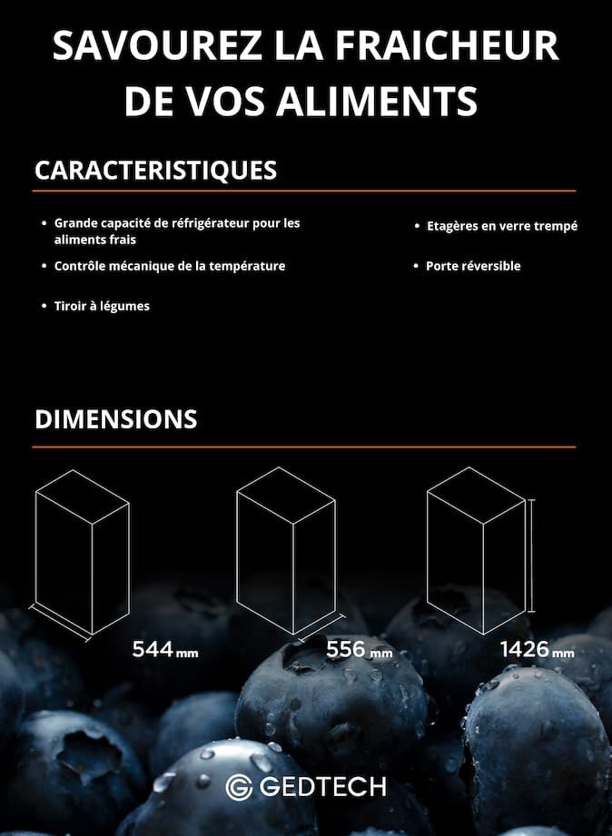 GEDTECH - réfrigérateur simple porte 230L classe E, noir, GSP230BL