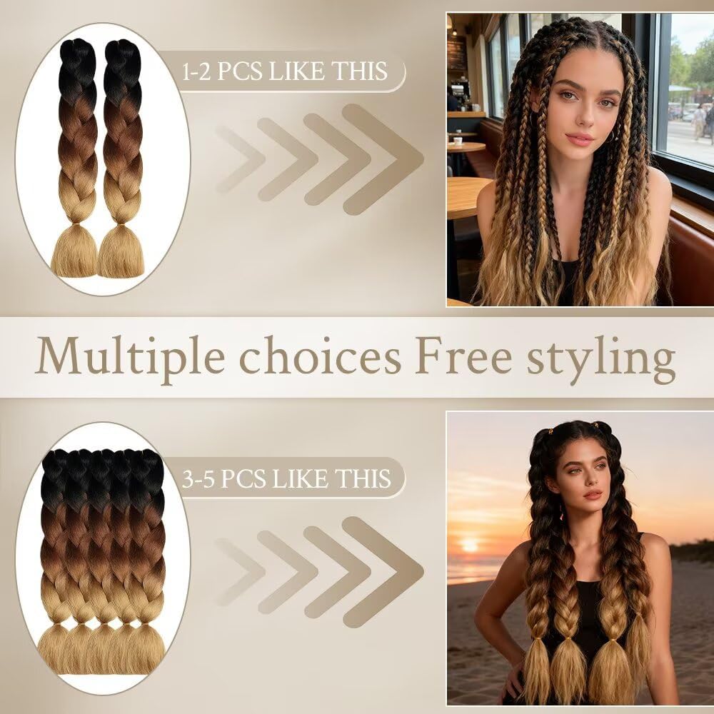 ShowJarlly - Ombre Jumbo Braids 24