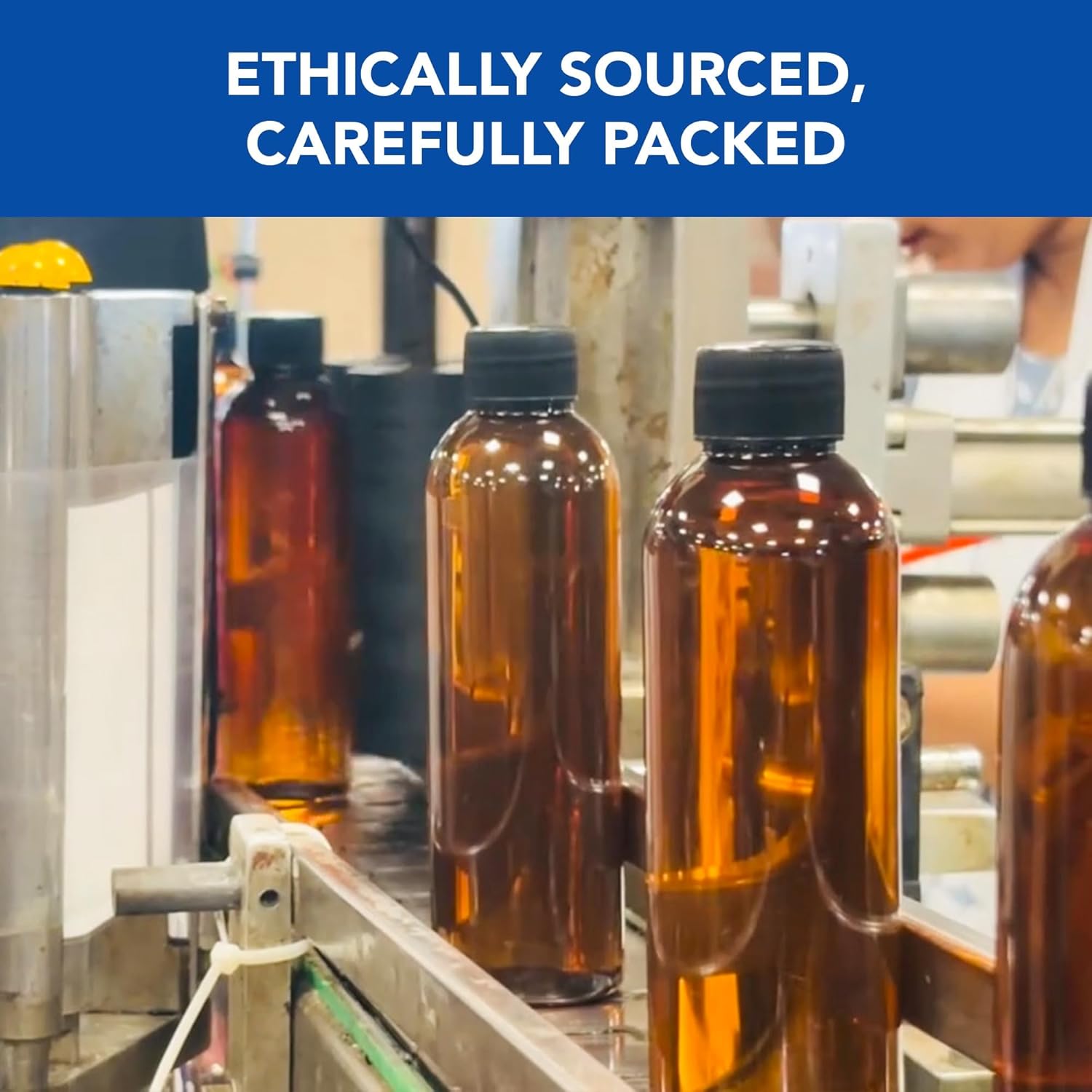 Botanic Hearth - Huile capillaire croissance - 198ml - romarin, biotine, ricin, jojoba