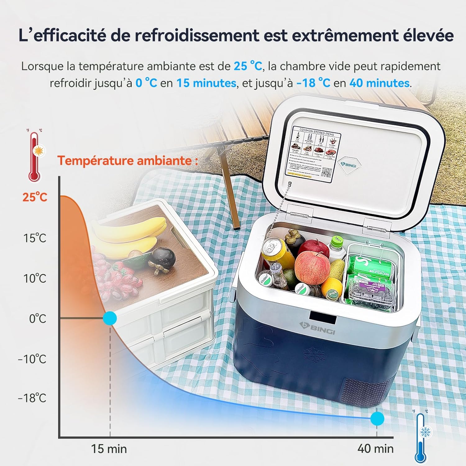 BINGI - Réfrigérateur voiture série compression 22L -18°C à +20°C