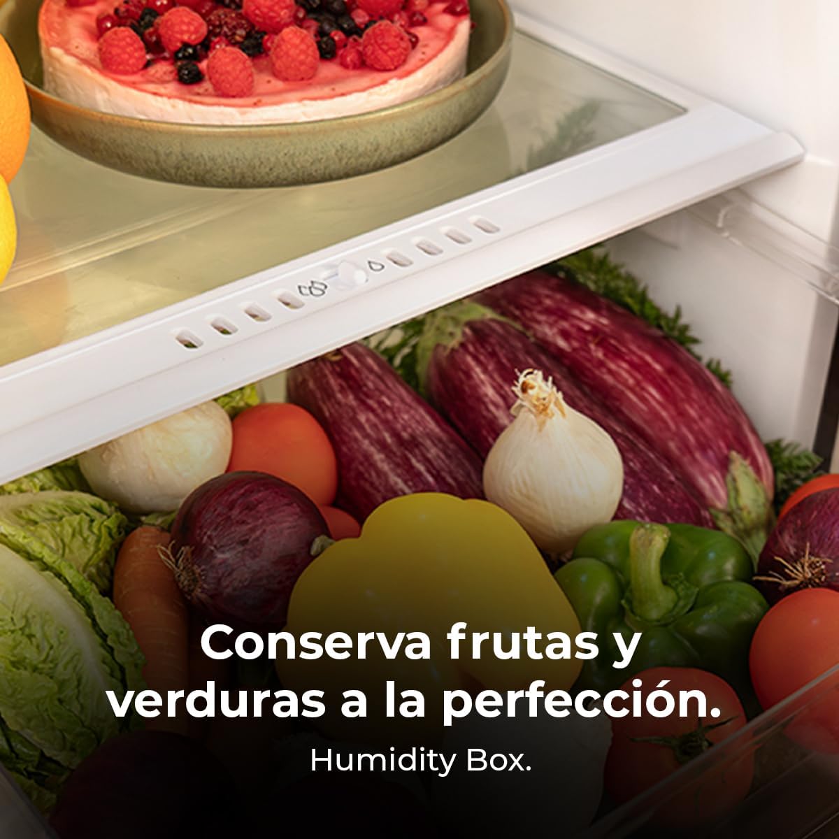 Cecotec - Bolero CoolMarket Combi 356 - 200x60 cm - verre, No Frost, faible conso - 356 White Glass D.