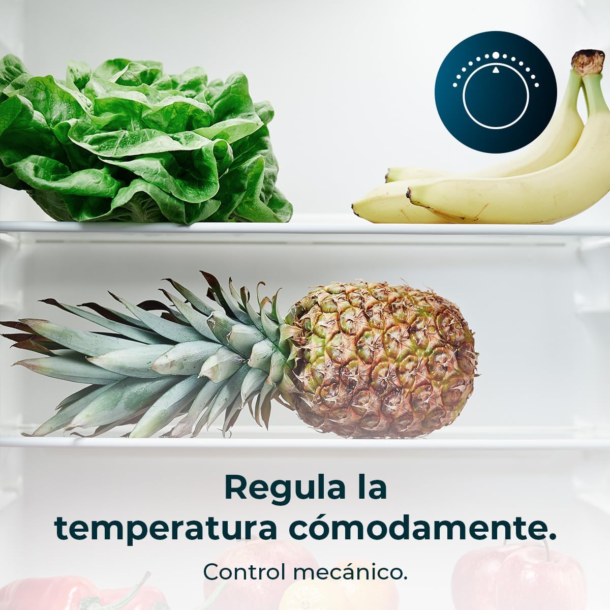 Cecotec - Bolero CoolMarket TT - 114L, compact, E, LED, porte réversible - TT114L