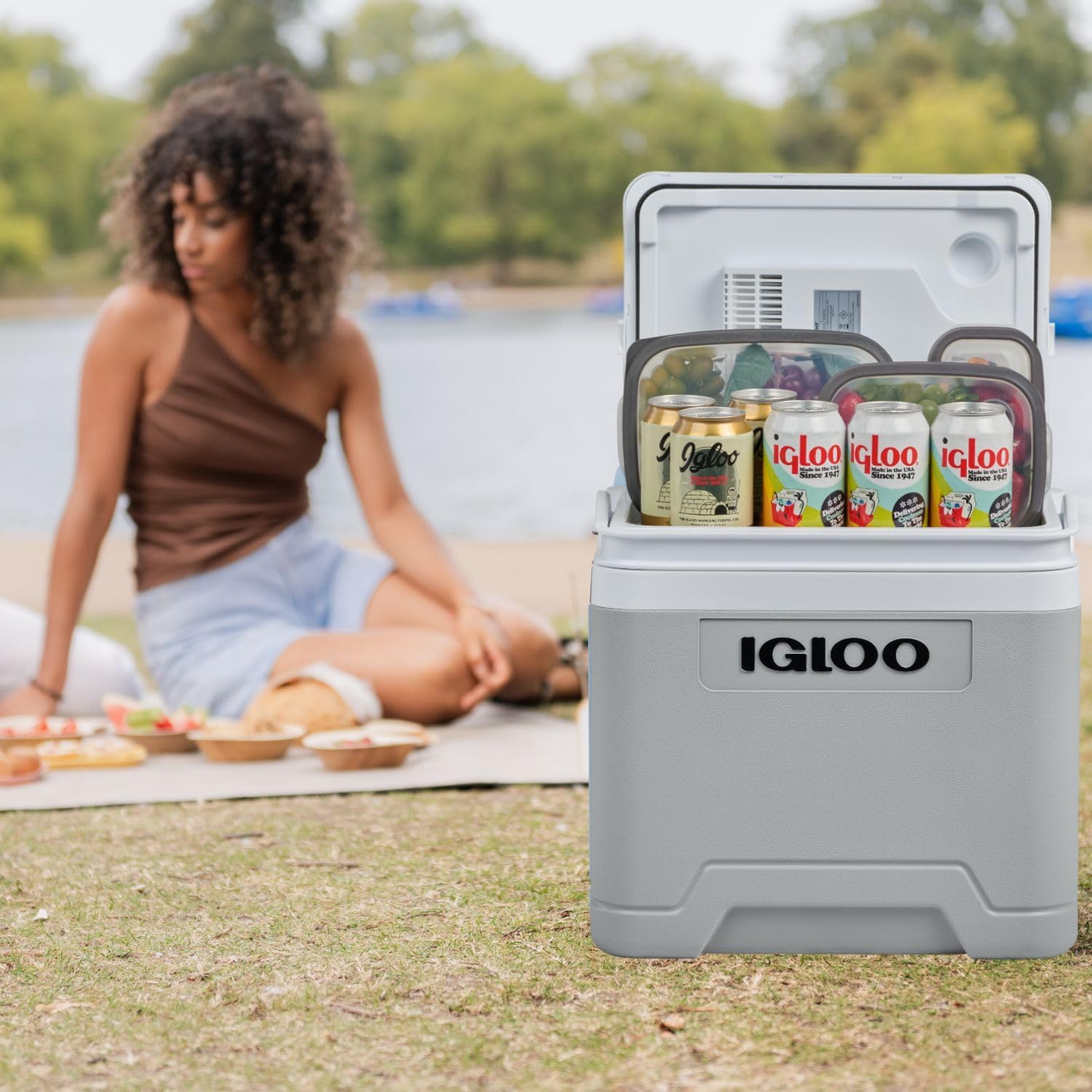 IGLOO - glacière électrique - compacte - grande capacité, portable