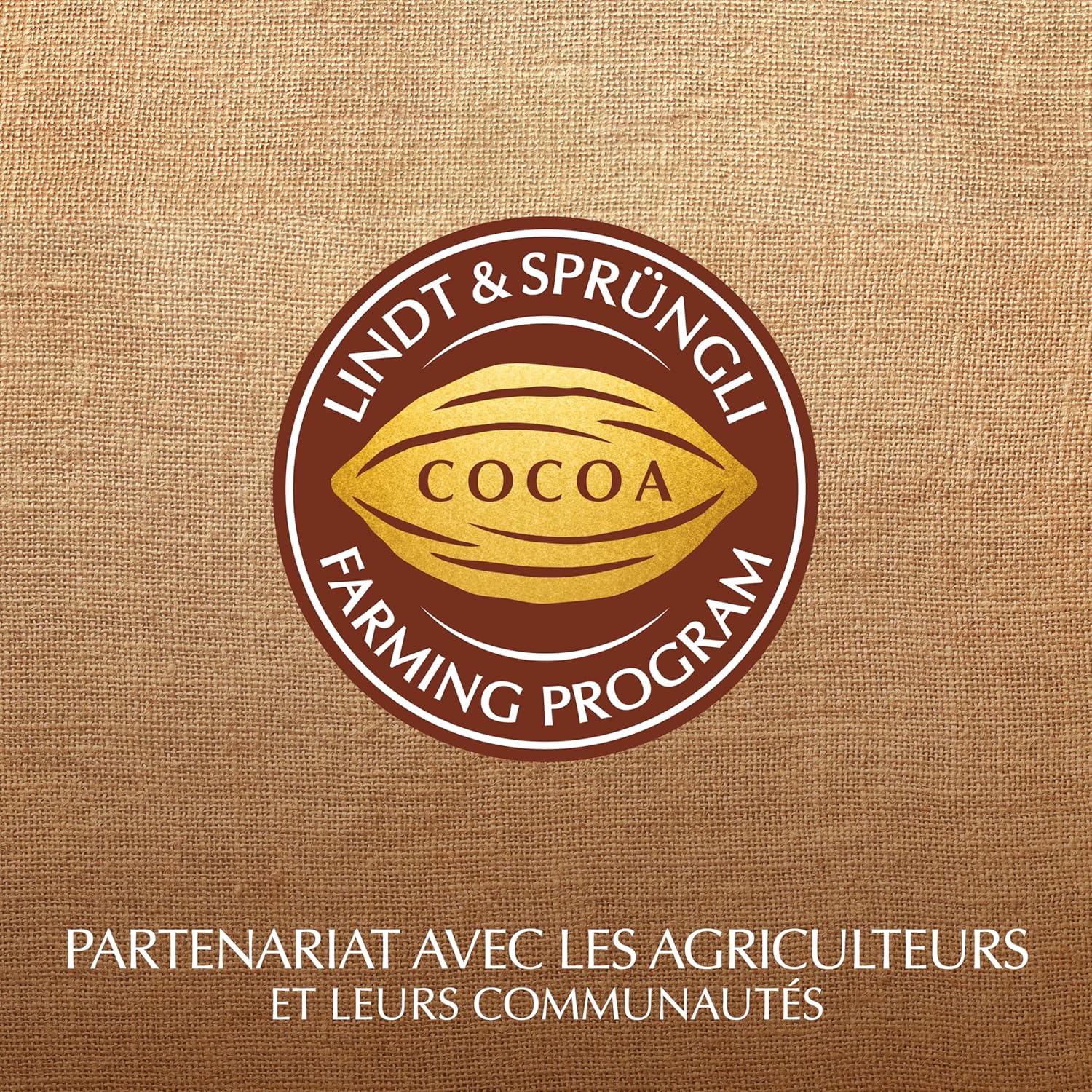 Lindt - Mini-moulages Lapin Or Fleurs - 5x10g - Chocolat au lait, idéal Pâques